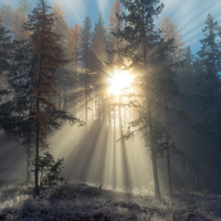 【軟件項(xiàng)目外包平臺(tái)公司|軟件項(xiàng)目外包平臺(tái)